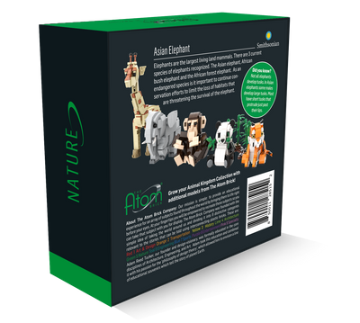 Asian Elephant